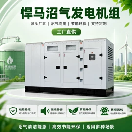 燃气发电机组;发电机零部件