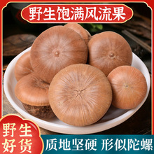 ҰLșƷʯ^VRůBIӴţݾ