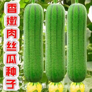 ��Ʒ������z�ϷN���L�z�ϷN�ӿ����߮a�͟��ļ��̨�ˈ@�߲˷N��