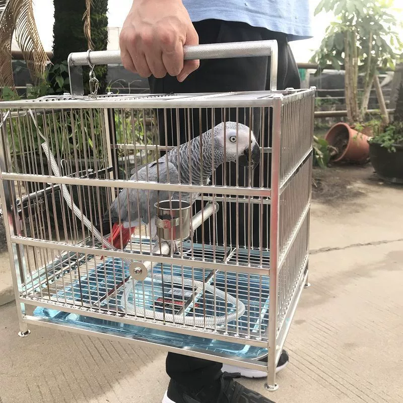 Большая веревка для клетки для птиц из нержавеющей стали для сороконожек и корелл, складная клетка для попугаев, серая, бесплатная доставка.