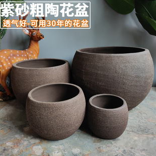 ��ʽ�������ش�ڏ�������ɰ�ջ������ͥԺ�؟��ɹ��̨�[���b�