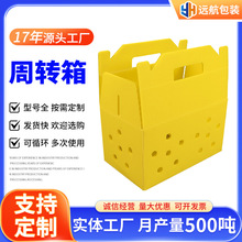 周转箱分拣产品储存箱可折叠PP中空板箱万通板箱防潮收纳货架储物