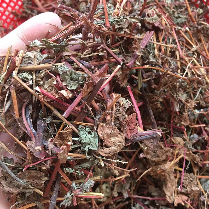 Gang Ban Gui Dried Herb 500g Polygonum perfoliatum Whole Plant Traditional Chinese Herbal Tea Material quality and texture