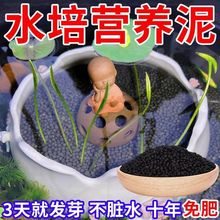 碗莲专用泥水草泥高肥力不臭水浑水睡莲水培植物泥亚马逊厂家