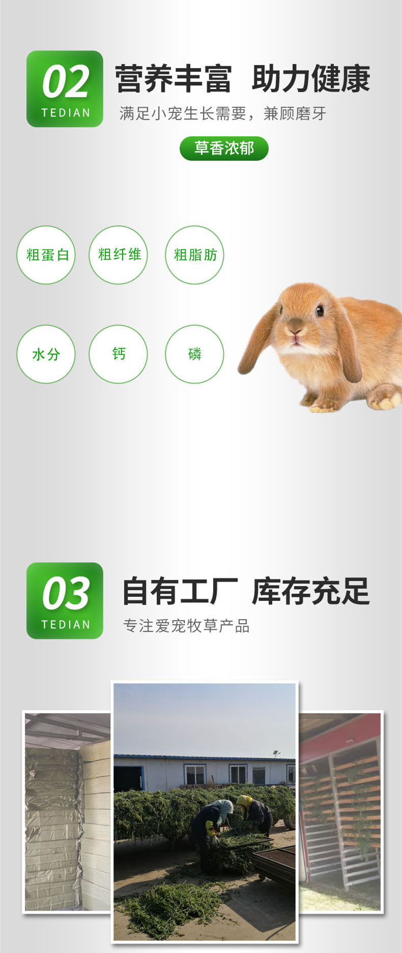 烘干紫花苜蓿草,紫花苜蓿,干牧草