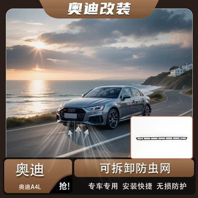 Audi A4L anti-insect net for front bumper grille, radiator grille, and radiator to prevent mosquito and fly debris (Automobile anti-insect net)