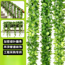 �羳�����ٗl�Gɫֲ����������Gֲ�����b��쾰���ϼٻ��ٗl���l