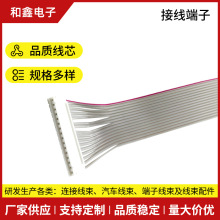 PH.16Y1.27p^BӾӾĸĸpIDCTʽ