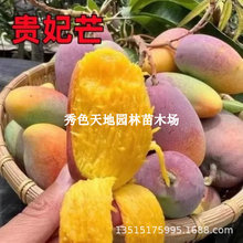 �t�F��â������t����â����޽ӹ������ļ���â�t�O��â����Y��