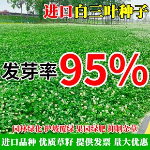 �M�����~�ݷN�Ӽt���~�����~�N���Ҳ��ļ������ͺ��G����ƺ����