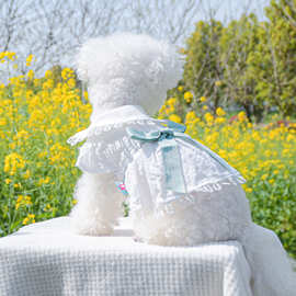 宠物圈狗狗衣服春夏新品中小型犬透气清凉舒适蝴蝶结新镂空裙