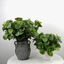 3D打印仿真绿植35叶金钱榕婚庆工程软装造景创意家居盆栽装饰