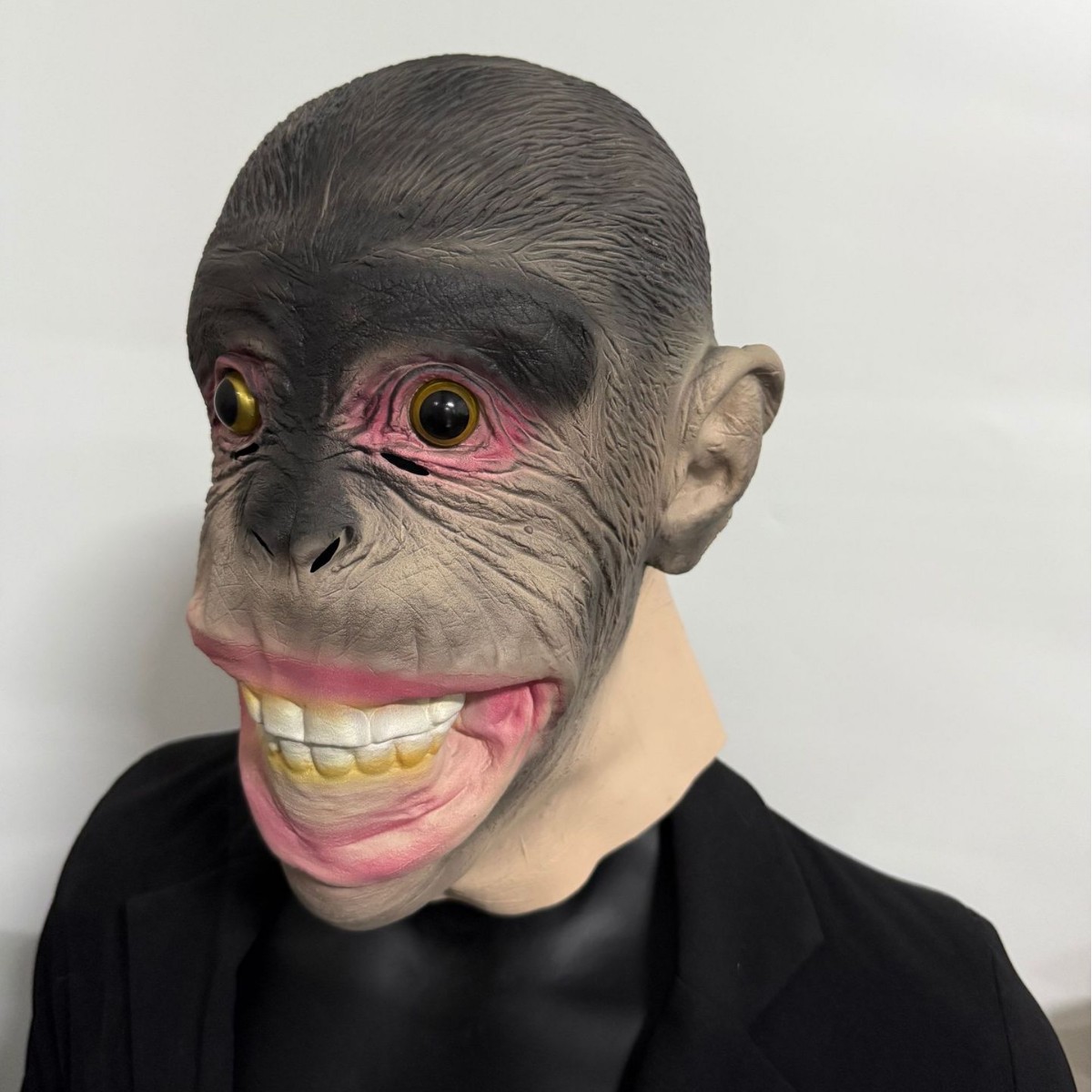 Gorila gorilla gorilla