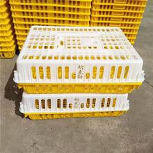 加厚鸡笼塑料养殖运输筐成鸡鸭鹅鸽子兔笼子周转鸭笼周转箱韧性好