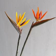 ��֧���������B �ٻ�����ֲ������Q���m���滨�b��ָ������B