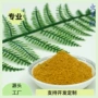 固体源头脱水蔬菜粉代餐粉