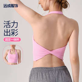 欧美跨境挂脖美背运动文胸固定杯普拉提训练外穿健身瑜伽服背心