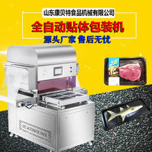 商用小型全自动真空贴体包装机 吸塑龙虾海参肉类覆膜真空贴体机