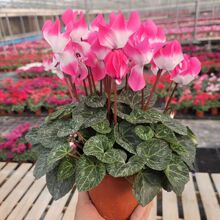 ���ɿ́����ӻ��҃ȿ͏d�̨�^�p����һ���玧���l؛15������