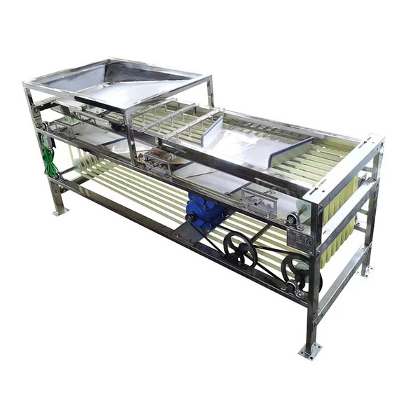 Household belt-type fruit sorting machine