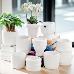 一件代發跨境網紅高顏值陶瓷花盆白色簡約ins風多肉花盆家用盆