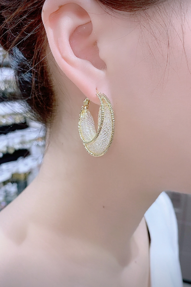 Metal Mesh Earrings Small Hoop Earrings 2023 New Fashionable Korean Internet Celebrity Elegant High-grade Circle Earrings