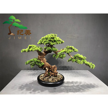 ӭ���ɷ����b��°��������_�h�ɶU�⾰�^���P�bƵꙻ���Rβ��