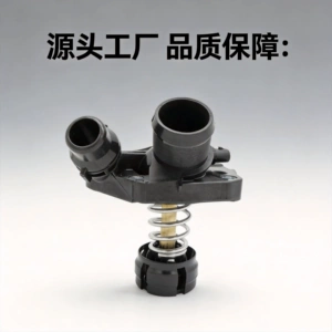 BMW Minix1X2 soyuducu termostatı 11518601366 11518623576 üçün