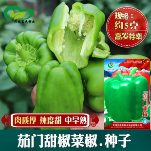 ���T�𽷷N�� �r��˵���@�Nֲ�߲��ཷ�����|��������������