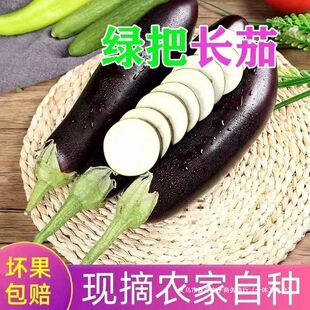 ���Fժ���]���|���������r�����G����Ƥ���Ӯ������]�Fժ�F�l//��