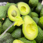 ţ�͹����Ϲ�˹ţ�͹������������͹����Ӧ������ʳ���ް�ţ�͹�