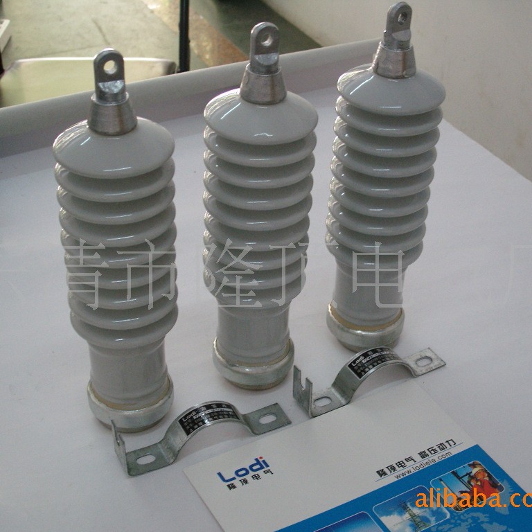 隆顶电气  Y2.5C1 电机保护避雷器arrester