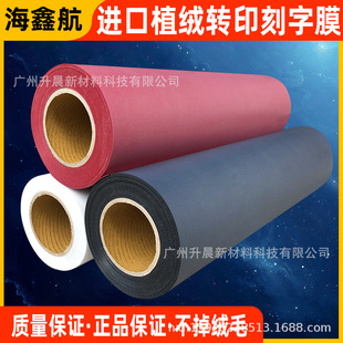 �n��ֲ�q���Dӡ����Ĥ/���b�CӡĤ/ֲ�q����Ĥ/T���CӡĤ