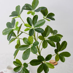 ����ľ����ͩ�����~���_ľ�@�ֹ����bGɫ���~���E18