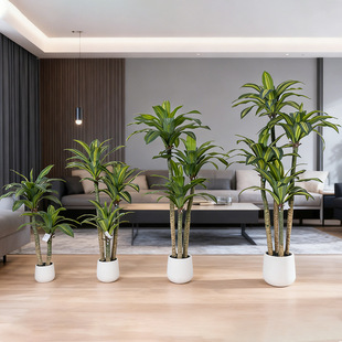 �羳���N�����Gֲ�����F������渻�F�~�҃��b[���������ľ