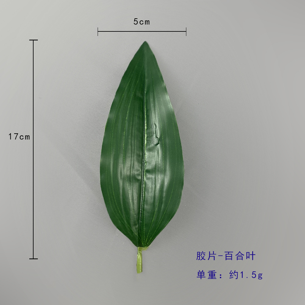 필름 백합 잎