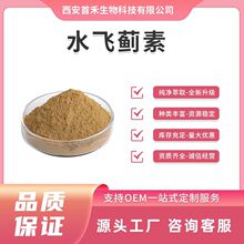 水飞蓟素60%-80% 水飞蓟提取物 水飞蓟宾 65666-07-1水飞蓟素