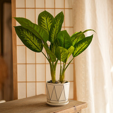 ����Gֲ�辰�ٻ��k����С�����������Կ͏d�b���Gֲ�ҾӔ[��