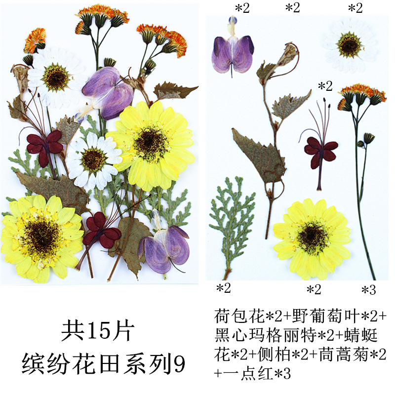 다채로운 꽃 밭 조합 9