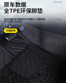 中网;专车专用脚垫;扶手/把手