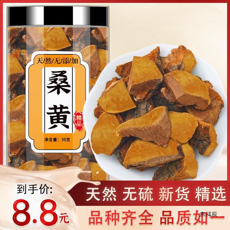 野生桑黄西藏材桑树桑黄茶干货煲汤粉泡茶泡水的功效