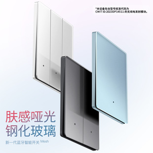 Smart Switch Ultra-Thin Ag Skin-Feel Glass Voice Remote Wireless Bluetooth Mesh Dual-Control Light Timing Zero Fire Panel