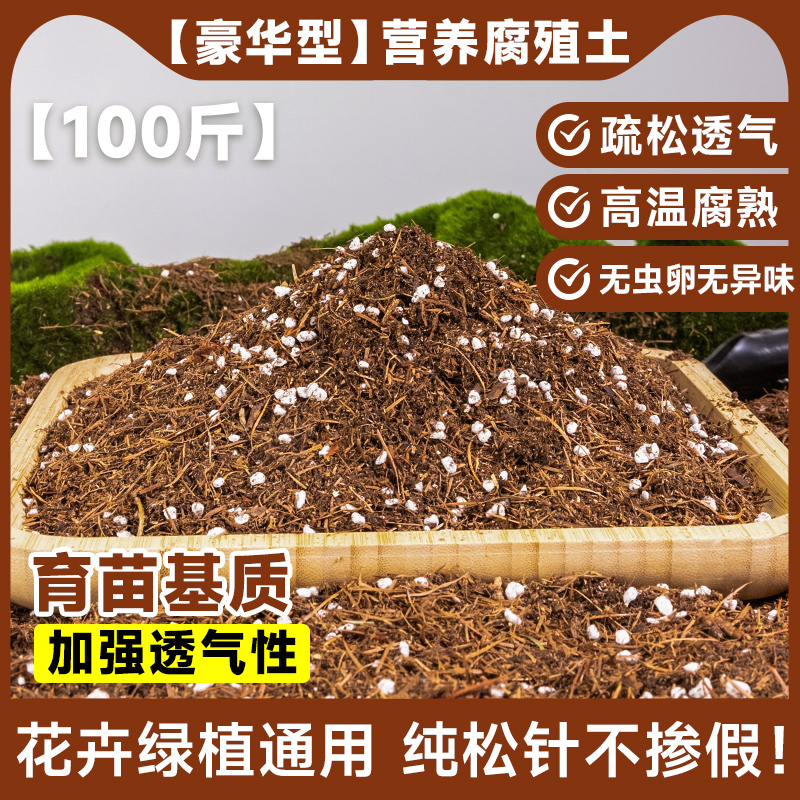 [명품] 영양 소나무 바늘 허밍 토양 100 진 (종묘장 기질) 환기 강화