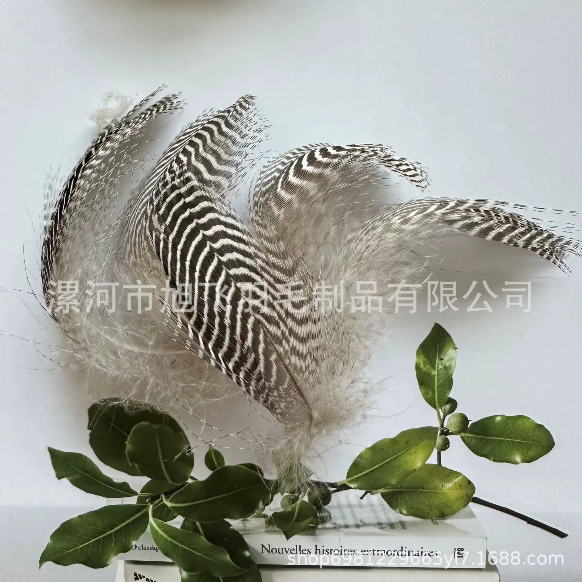 工厂批发自然野鸭毛野禽毛野鸭羽毛DIY波纹饰品羽丝绒配件小羽毛