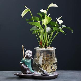 ˮ��Gֲ�~�X�ݾG�}ˮ�B���ò��������҃�����o��ˮ�B�մ�С��ƿ