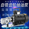 WCB手提式自吸电动加油泵机油齿轮泵食用油齿轮油220v380V|ms