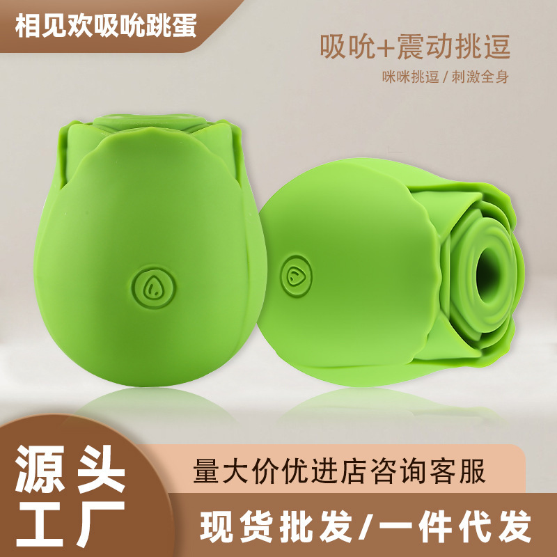 Multi-Frequency Vibration Rose Portable Breast Enhancement Female Product Sucking Mode Breast Massage Stimulator