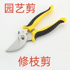Stainless steel branch pruning shears, fruit and flower pruners, garden fruit tree flower branch grafting gardening scissors tools