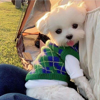 狗狗衣服寵物針織毛衣泰迪雪納瑞約克夏貴賓比熊博美小型犬速賣通