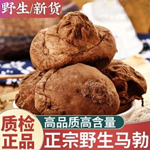 野生马勃新货500g马勃菌马勃菇菌包牛屎菇马真货好货